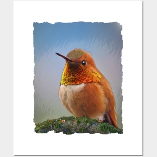 Rufous Hummingbird Posters and Art